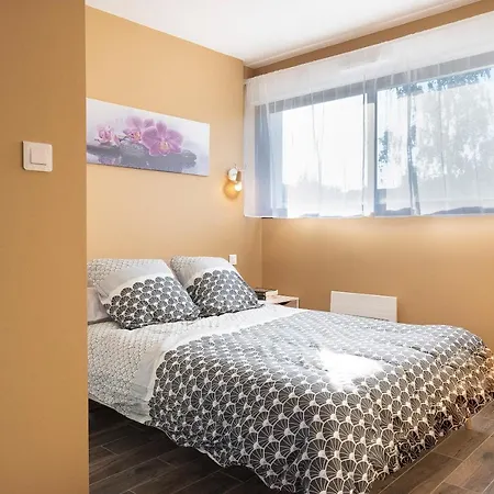 דירה Le Fabre 101 - Charmant Studio - Proche Hypercentre Et Hopital - Wifi - Parking *